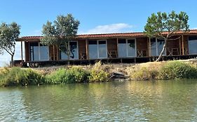 Comporta Side - Lake